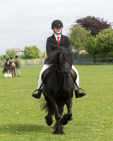 Emberton & District Riding Club Show