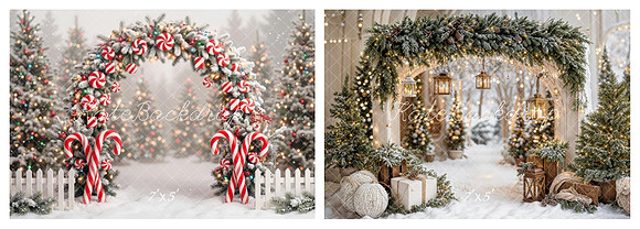 Christmas Mini Photoshoots in Bedford